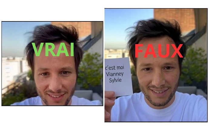 FAKE VIANNEY